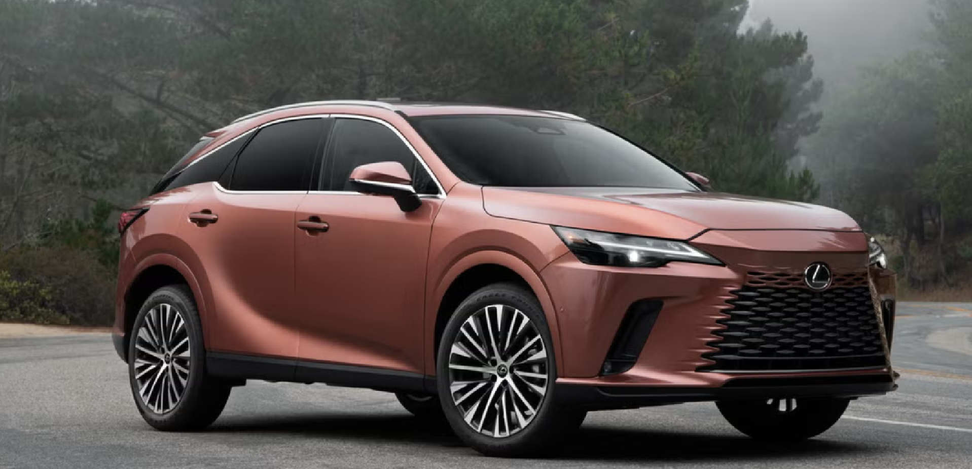 2025 Lexus RX 350 Review | The #1 Luxury Midsize SUV!